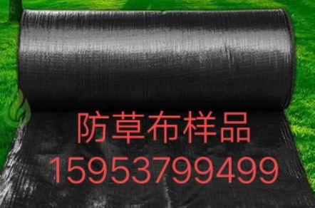 【防草布价格_专业果园除草布】- 