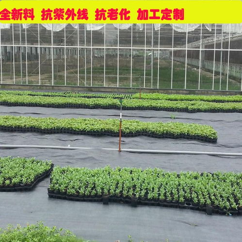 【河北石家庄防草布农用除草布生产厂家供应饶阳县园艺地布】- 