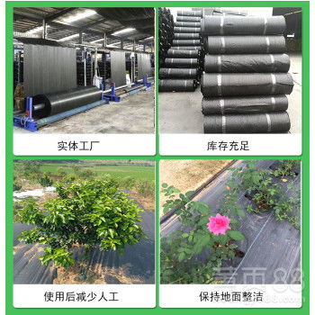 【德州润泽园艺地布 遮草布,六盘水防草布质量可靠】- 